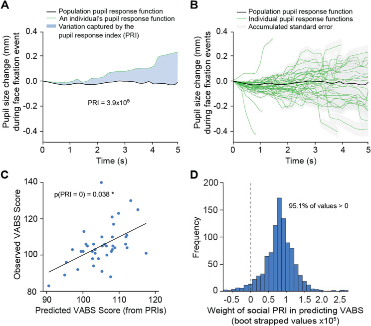 Pupil responses to social stimuli are associated with adaptive behaviors across the first 24 months of life.