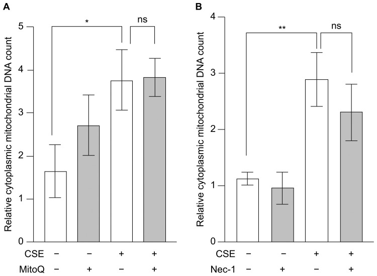 Cigarette Smoke Extract-Induced Necroptosis Causes Mitochondrial DNA Release and Inflammation of Bronchial Epithelial Cells.