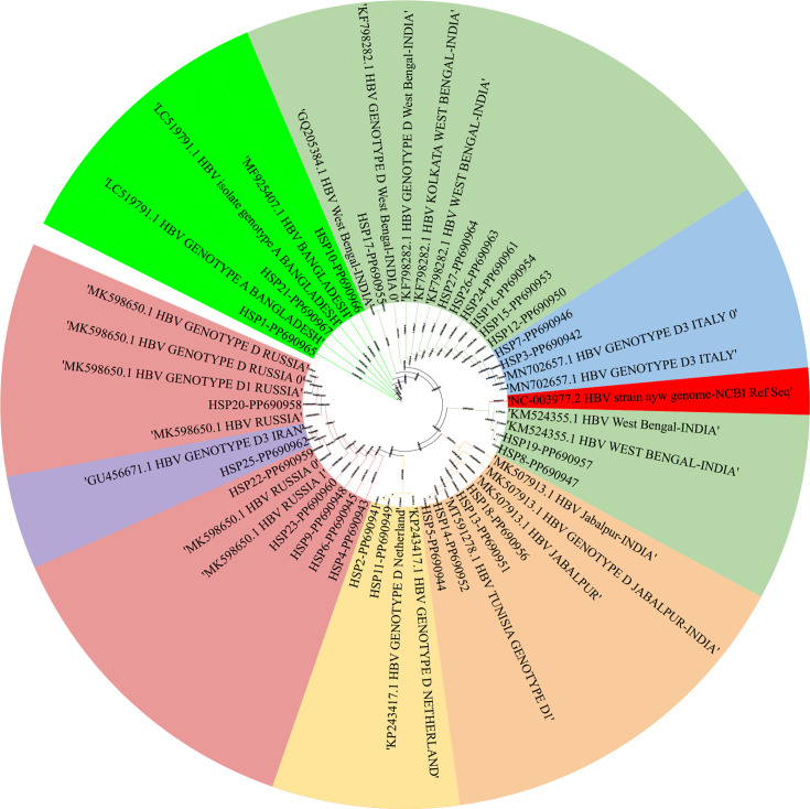 Molecular analysis of HBV pre-core gene mutations in patients co-infected with HIV at a tertiary care hospital in North India.