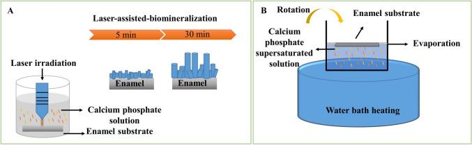 Next-Generation Strategies for Enamel Repair and Regeneration: Advances in Biomaterials and Translational Challenges.