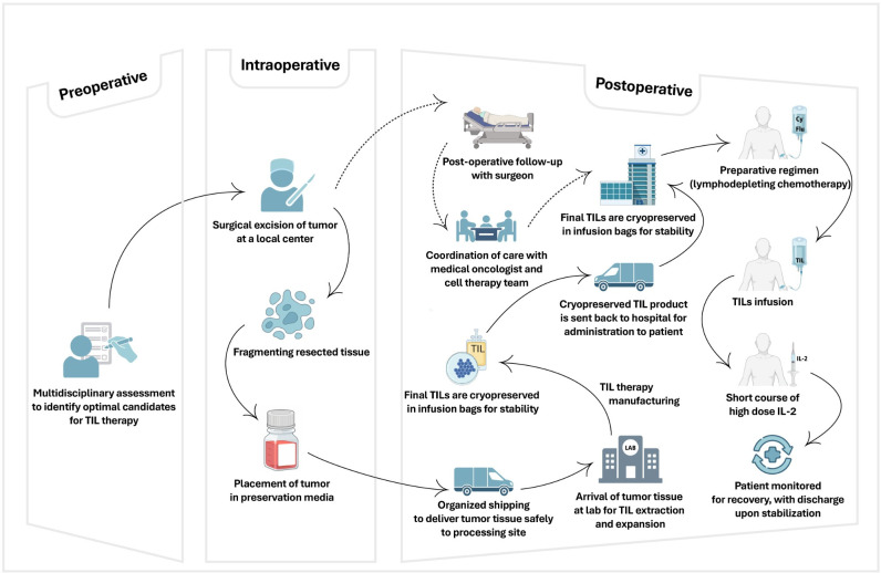 Tumour-infiltrating lymphocyte therapy landscape: prospects and challenges.