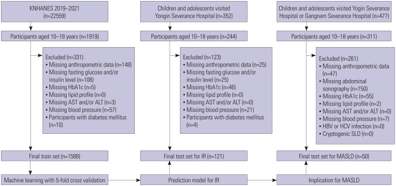 Prediction Model for Insulin Resistance and Implications for MASLD in Youth: A Novel Marker, the Pediatric Insulin Resistance Assessment Score.