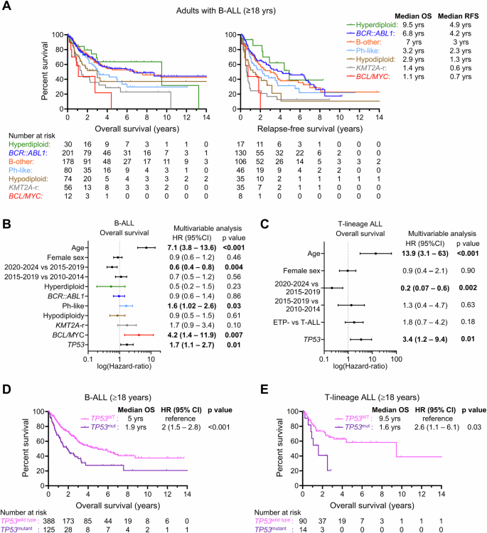 Clinical and molecular characterization of TP53-mutant acute lymphoblastic leukemia in adults
