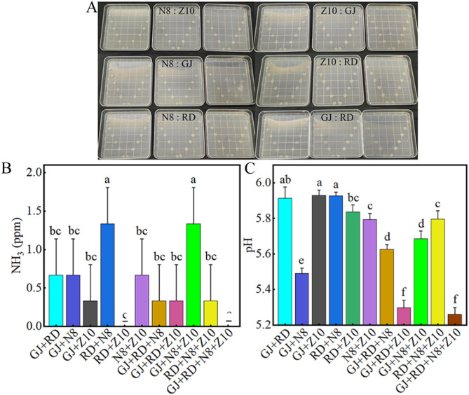 A novel strategy for synthetic microbial community conversion of liquid pig manure into microbial fertilizer.