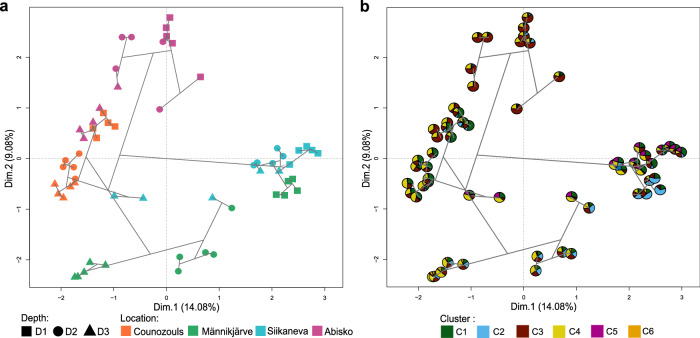 Uncovering diversity and abundance patterns of CO<sub>2</sub>-fixing microorganisms in peatlands.