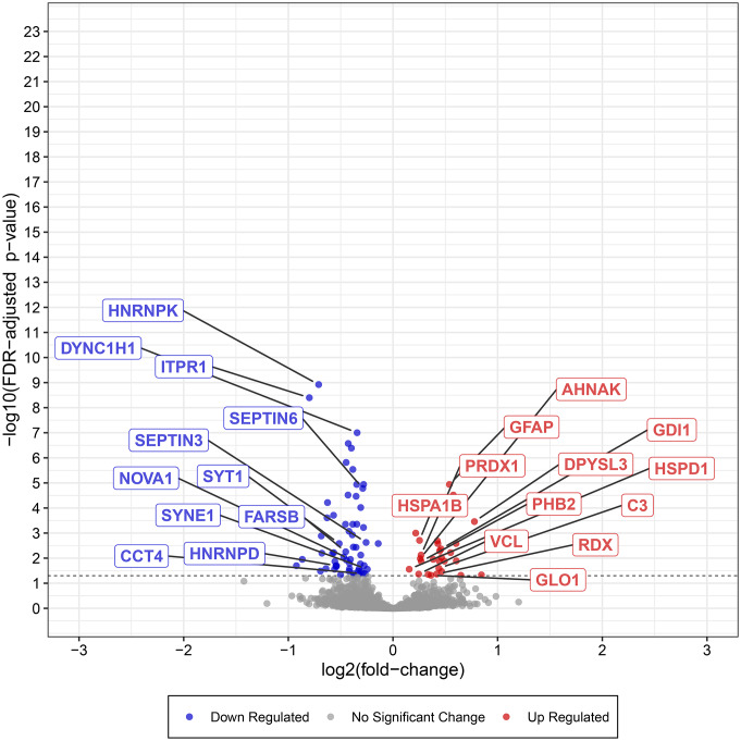 Impaired Aggrephagy, Interrupted Vesicular Trafficking, and Cellular Stress, Lead to Protein Aggregation, and Synaptic Dysfunction in Cerebellum of Children and Adults with Idiopathic Autism.