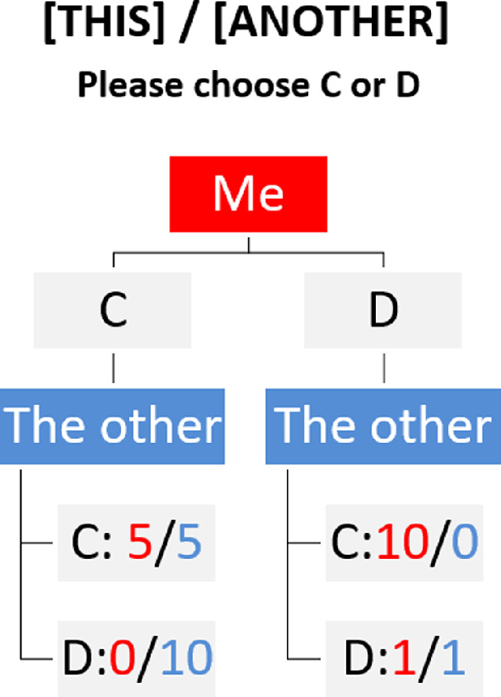 Conflicting identities and cooperation between groups: experimental evidence from a mentoring programme.