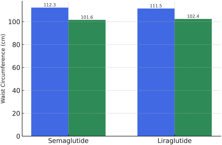 Relative Effectiveness and Safety of the GLP-1 (Glucagon-Like Peptide 1) Receptor Agonists, Semaglutide and Liraglutide in the Treatment of Obese Type 2 Diabetics: A Prospective Observational Cohort Study in Poland.
