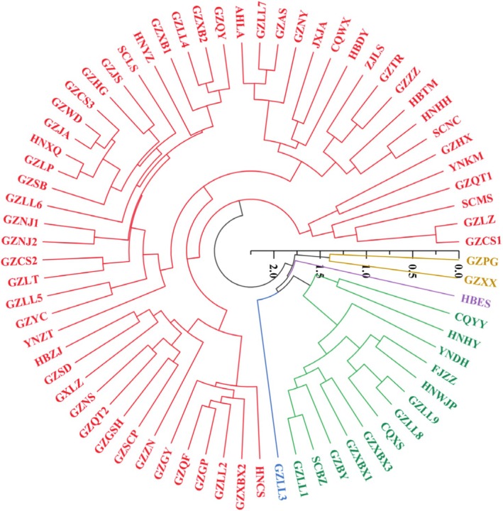 Analysis of the Genetic Diversity of <i>Houttuynia cordata</i> Thunb Germplasm and Associated Variations in Lead Content.