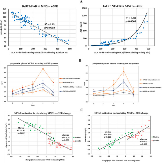 Meal-Induced NF-kB Activation in Mononuclear Cells Triggers Lumican Secretion and Promotes Chronic Kidney Disease in Metabolic Dysfunction-Associated Steatotic Liver Disease.