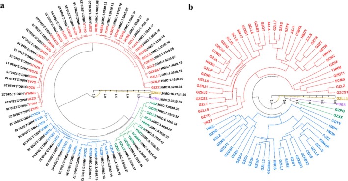 Analysis of the Genetic Diversity of <i>Houttuynia cordata</i> Thunb Germplasm and Associated Variations in Lead Content.