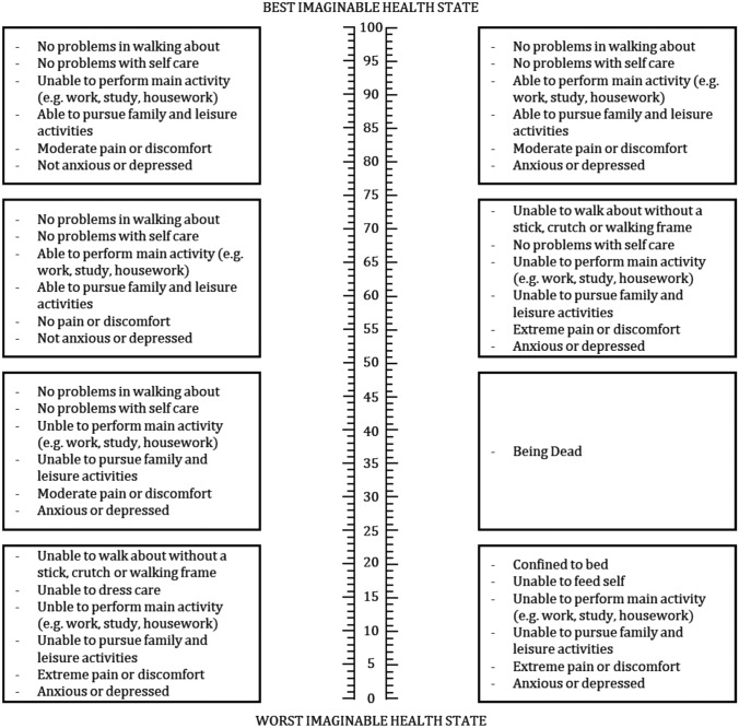 Exploring the origin and conceptual framework of the EQ VAS.