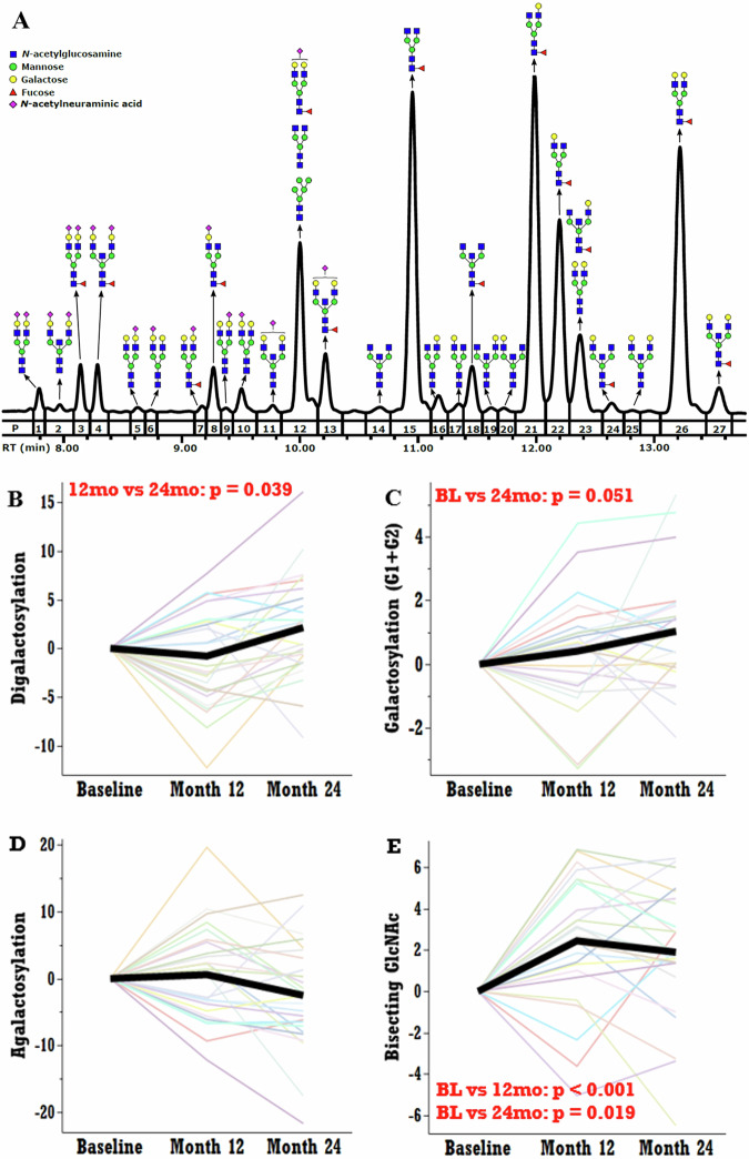 A 2-year calorie restriction intervention may reduce glycomic biological age biomarkers - a pilot study.