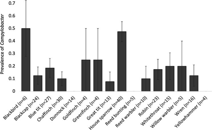 High prevalence of multi-drug-resistant bacteria in faecal samples from UK passerine birds.