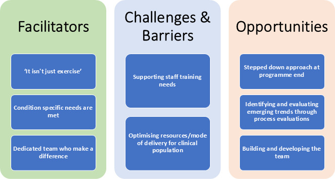 Exercise professionals in extended scope of practice roles: a qualitative exploration of a new model of rehabilitation.