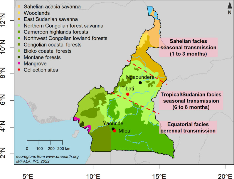 Genetic polymorphism of msp2 in Plasmodium falciparum isolates among asymptomatic malaria infections from two ecological settings in Cameroon.