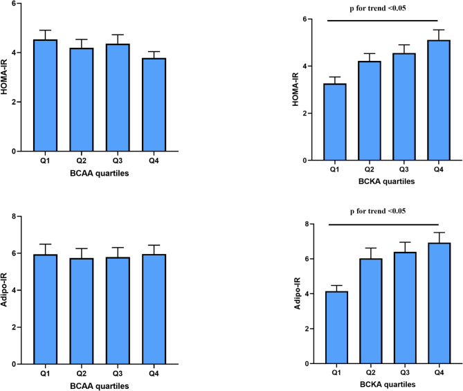 Circulating BCKAs are closely associated with adipose tissue insulin resistance in type 2 diabetes.