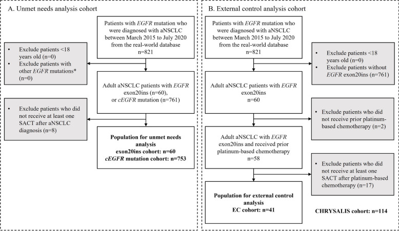 Amivantamab versus standard therapies among patients with advanced non-small cell lung cancer and epidermal growth factor receptor exon 20 insertion mutations after platinum-based therapy in China.
