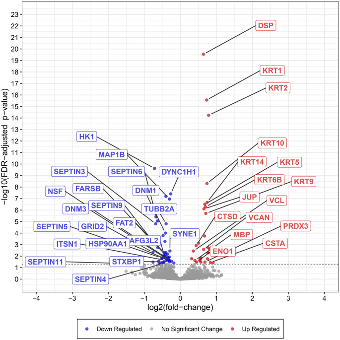 Impaired Aggrephagy, Interrupted Vesicular Trafficking, and Cellular Stress, Lead to Protein Aggregation, and Synaptic Dysfunction in Cerebellum of Children and Adults with Idiopathic Autism.