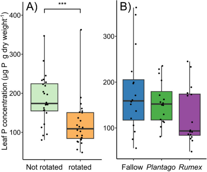 The influence of mycorrhizal hyphal connections and neighbouring plants on Plantago lanceolata physiology and nutrient uptake.