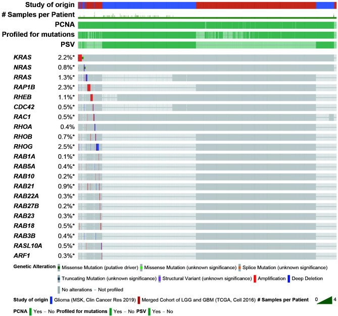 The role of abnormal epigenetic regulation of small GTPases in glioma (Review).