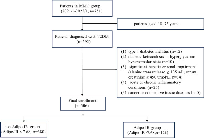 Circulating BCKAs are closely associated with adipose tissue insulin resistance in type 2 diabetes.