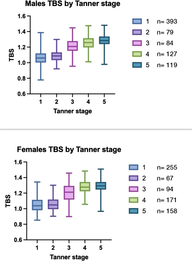Reference curves for trabecular bone score adjusted for soft tissue thickness in children and adolescents from Mexico City