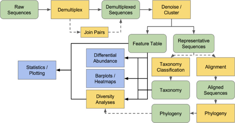 Demographic drivers of gut microbiome diversity.