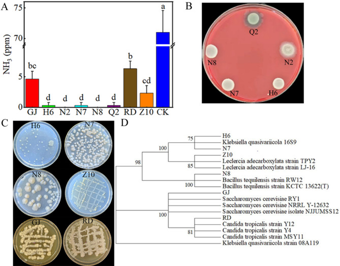 A novel strategy for synthetic microbial community conversion of liquid pig manure into microbial fertilizer.