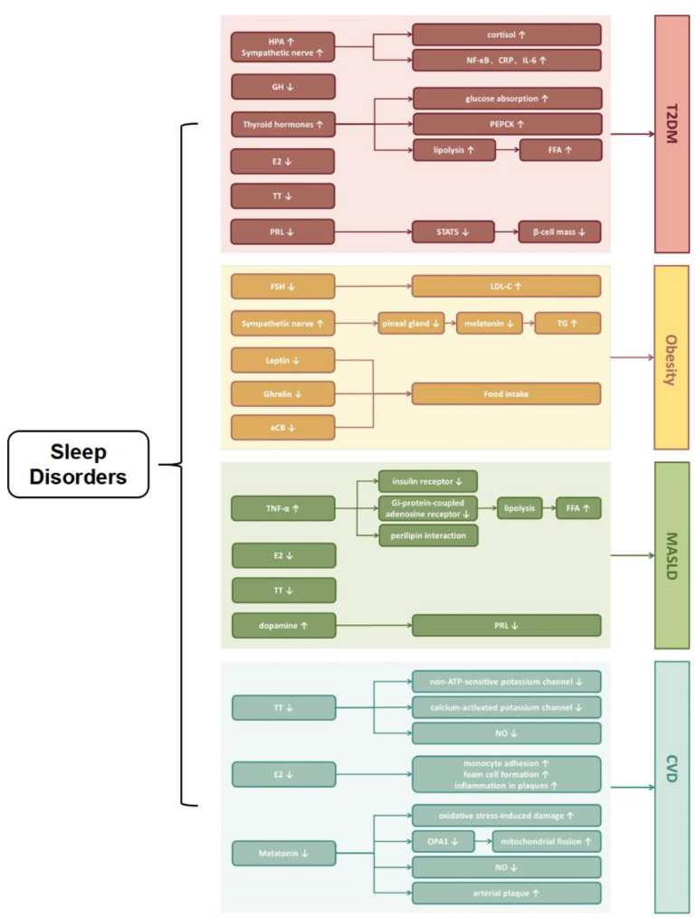 Sleep disorders impact hormonal regulation: unravelling the relationship among sleep disorders, hormones and metabolic diseases.