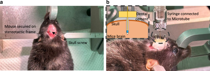 3D-printed optogenetic neural probe integrated with microfluidic tube for opsin/drug delivery.