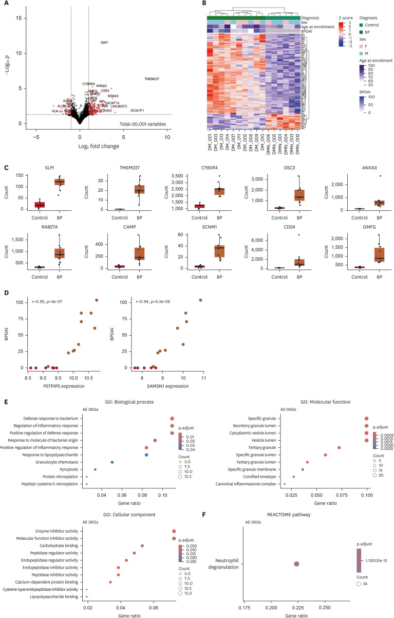 Immunophenotypic and Transcriptomic Analysis of Peripheral Blood Mononuclear Cells in Bullous Pemphigoid.