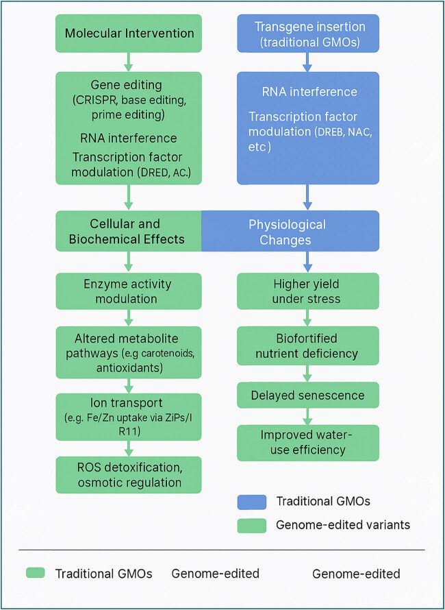 The dilemma of food genetics and improvement.