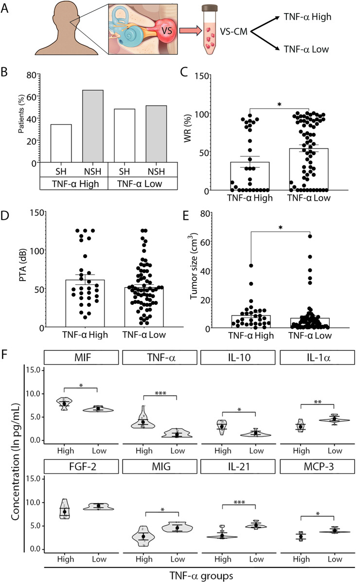 Correction: Immune profiling of human vestibular schwannoma secretions identifies TNF-α and TWEAK as cytokines with synergistic potential to impair hearing.