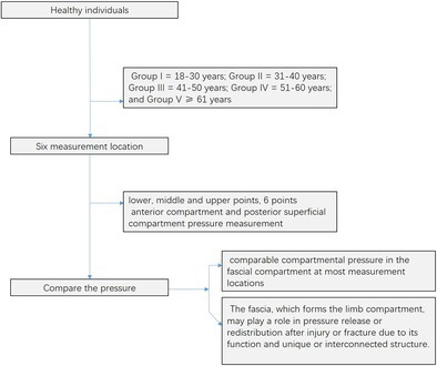 Noninvasive Compartmental Pressure Assessment With iCare in Healthy Individuals of Different Ages.
