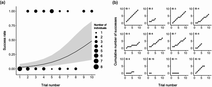 Field-based assessment of inhibitory control in black-tailed gulls using a cylinder task