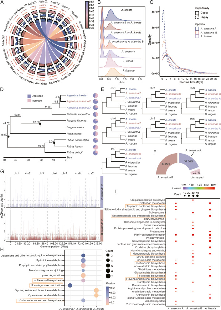 Two gap-free genomes of Argentina provide insights into their genetic relationships.
