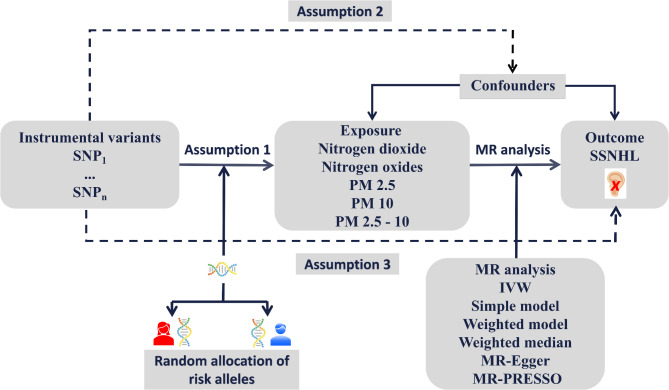 Correlation of air pollution and risk of sudden sensorineural hearing loss: a Mendelian randomization study.