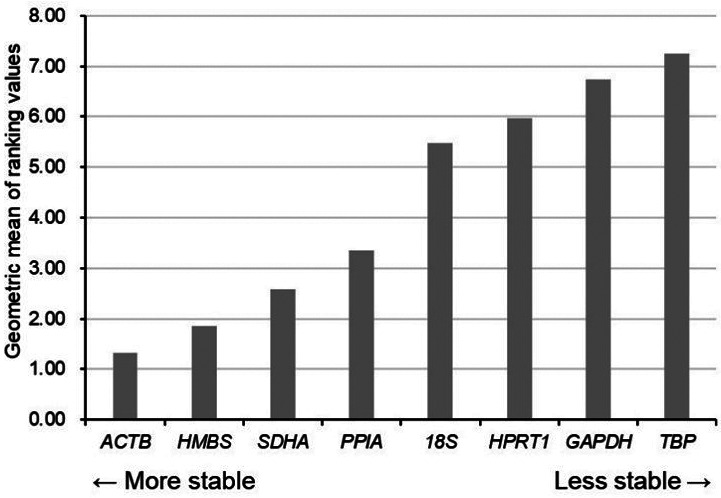Enhancing gene expression studies in bovine embryos fertilized in vitro: Identifying stable reference genes across blastocysts with different developmental speeds.