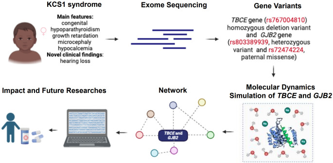 Expanding genotype-phenotype correlation of Kenny-Caffey syndrome type 1.