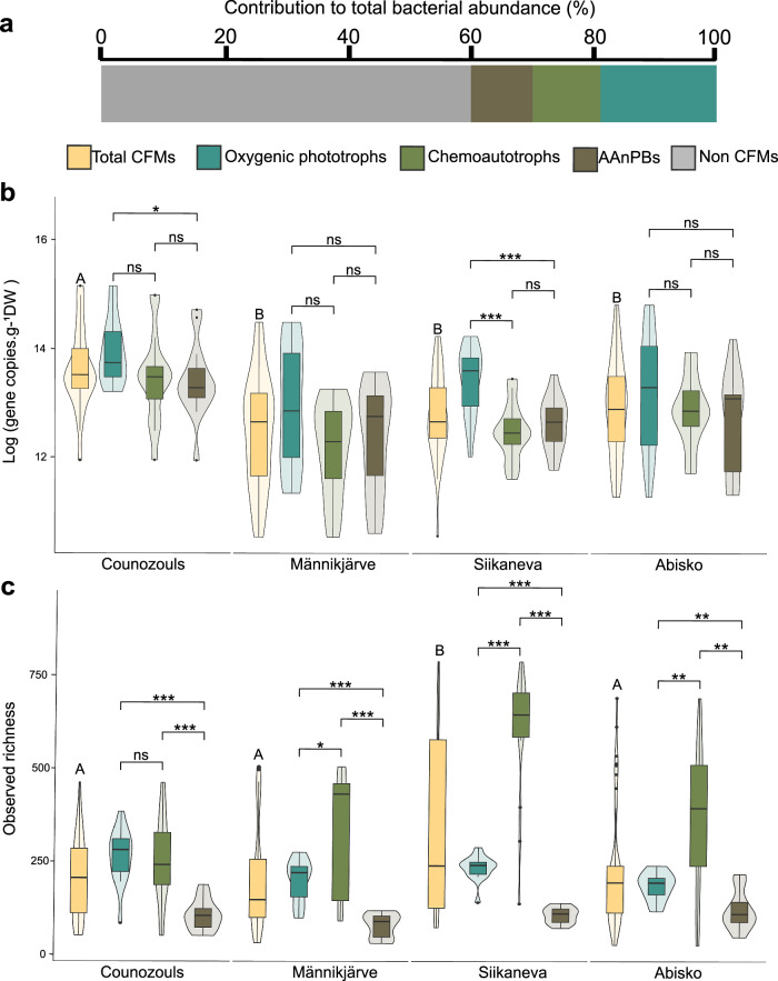 Uncovering diversity and abundance patterns of CO<sub>2</sub>-fixing microorganisms in peatlands.