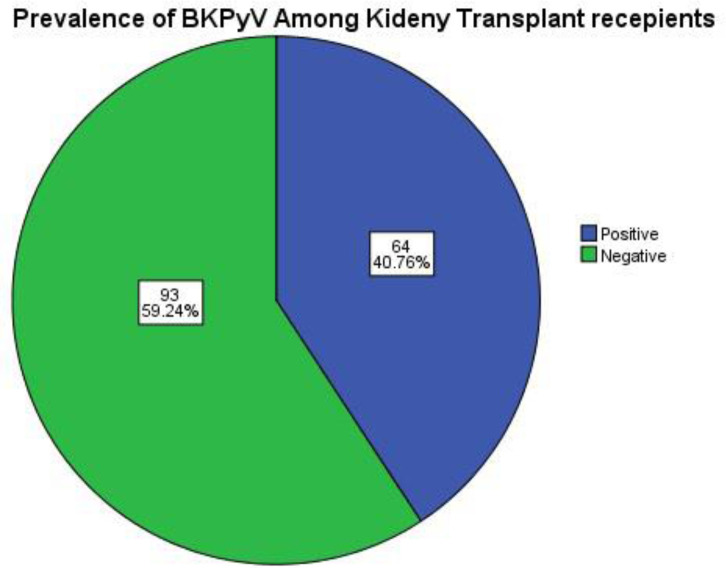 Transplant failure in relation to BK viremia status among kidney transplant recipients in Jordan.
