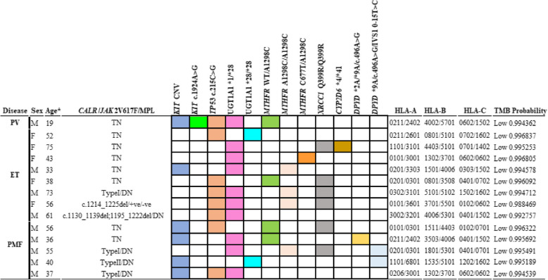 Molecular landscape of non-driver genes in myeloproliferative neoplasms through 333 cancer genes panel: Insights to reveal in Pakistan.