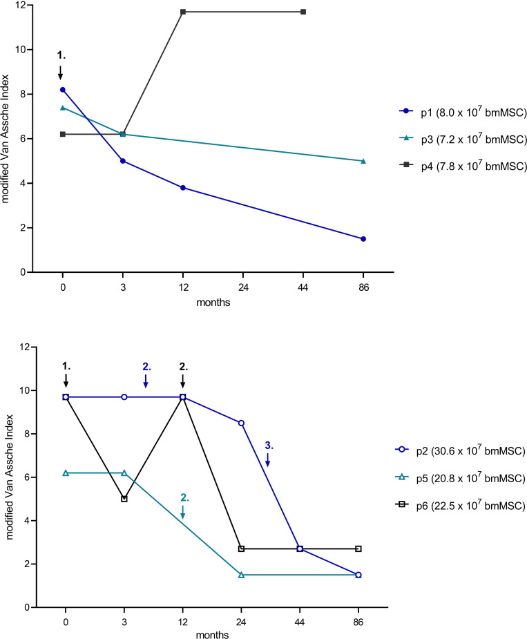 Long-term effectiveness of allogeneic bone marrow-derived mesenchymal stromal cell therapy for complex perianal and rectovaginal fistulas in Crohn's disease: a retrospective case series.