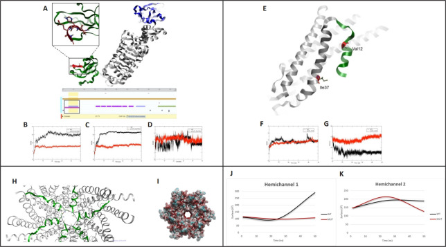 Expanding genotype-phenotype correlation of Kenny-Caffey syndrome type 1.