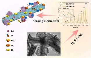 Dual functionalization of Co3O4 and Pd synergistically promotes the hydrogen sensing properties of In2O3 sensor