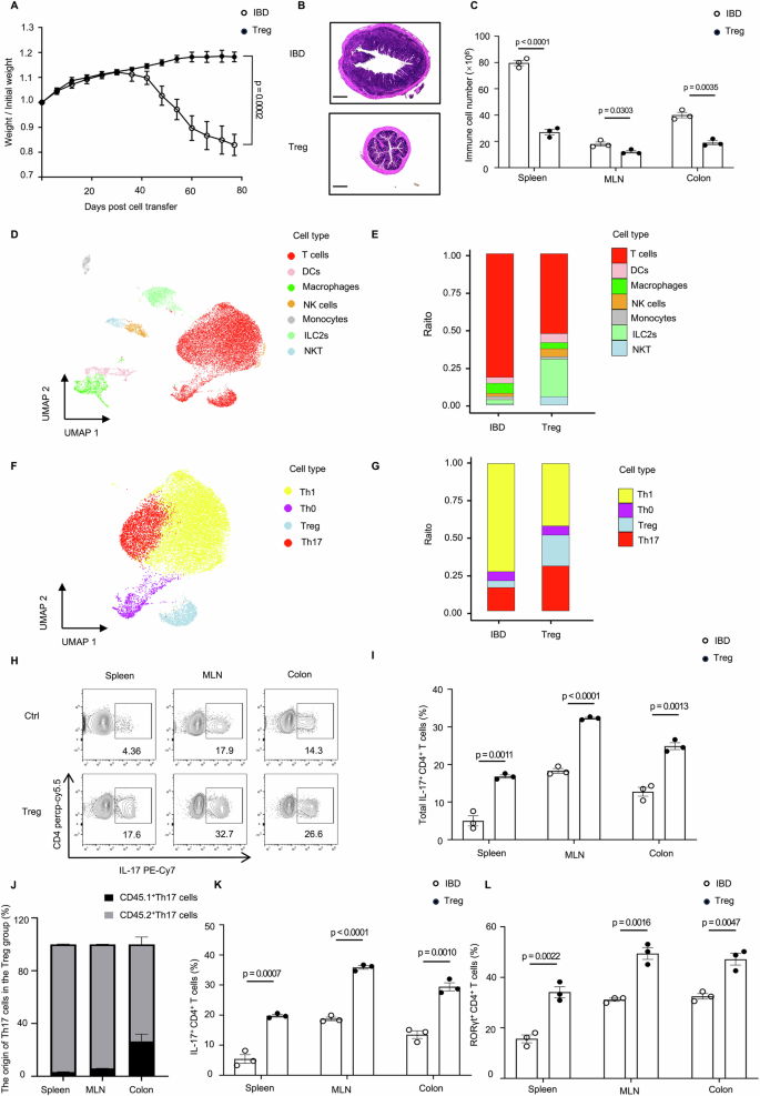 Regulatory T cell therapy promotes TGF-β and IL-6-dependent pro-inflammatory Th17 cell generation by reducing IL-2