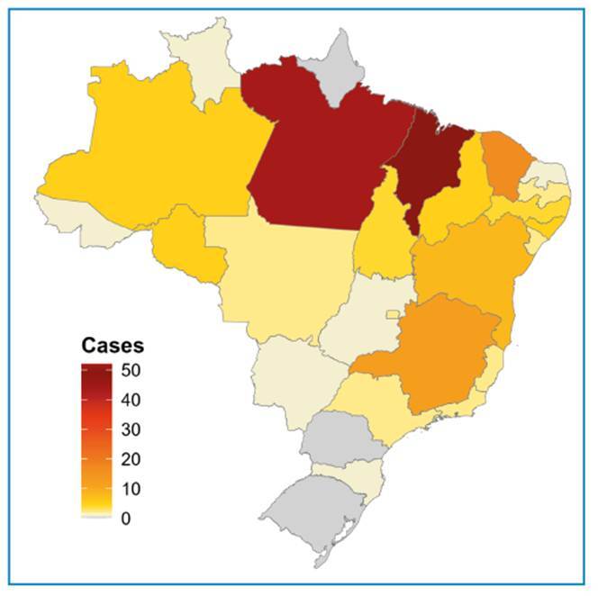 Two Decades of Human Rabies in Brazil: Epidemiological Trends, Emerging Risks and Treatment Challenges.