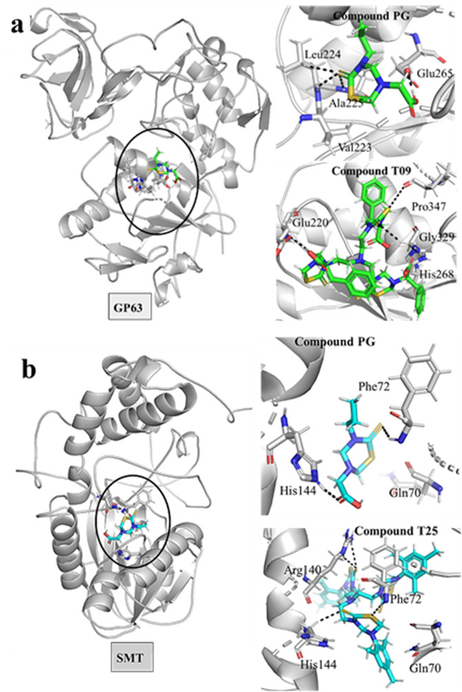 Establishment of THTT derivatives as potential antileishmanial and anti-inflammatory agents through in vitro and in silico investigations.