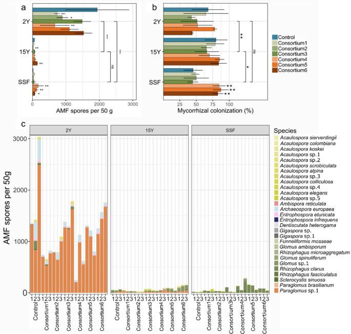 Interaction between arbuscular mycorrhizal fungi and native soil microbiome on early stage restoration of a coal-mine soil.